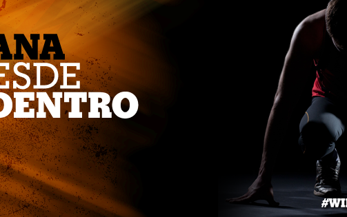 10730930_777603238965554_2060946365841624058_n