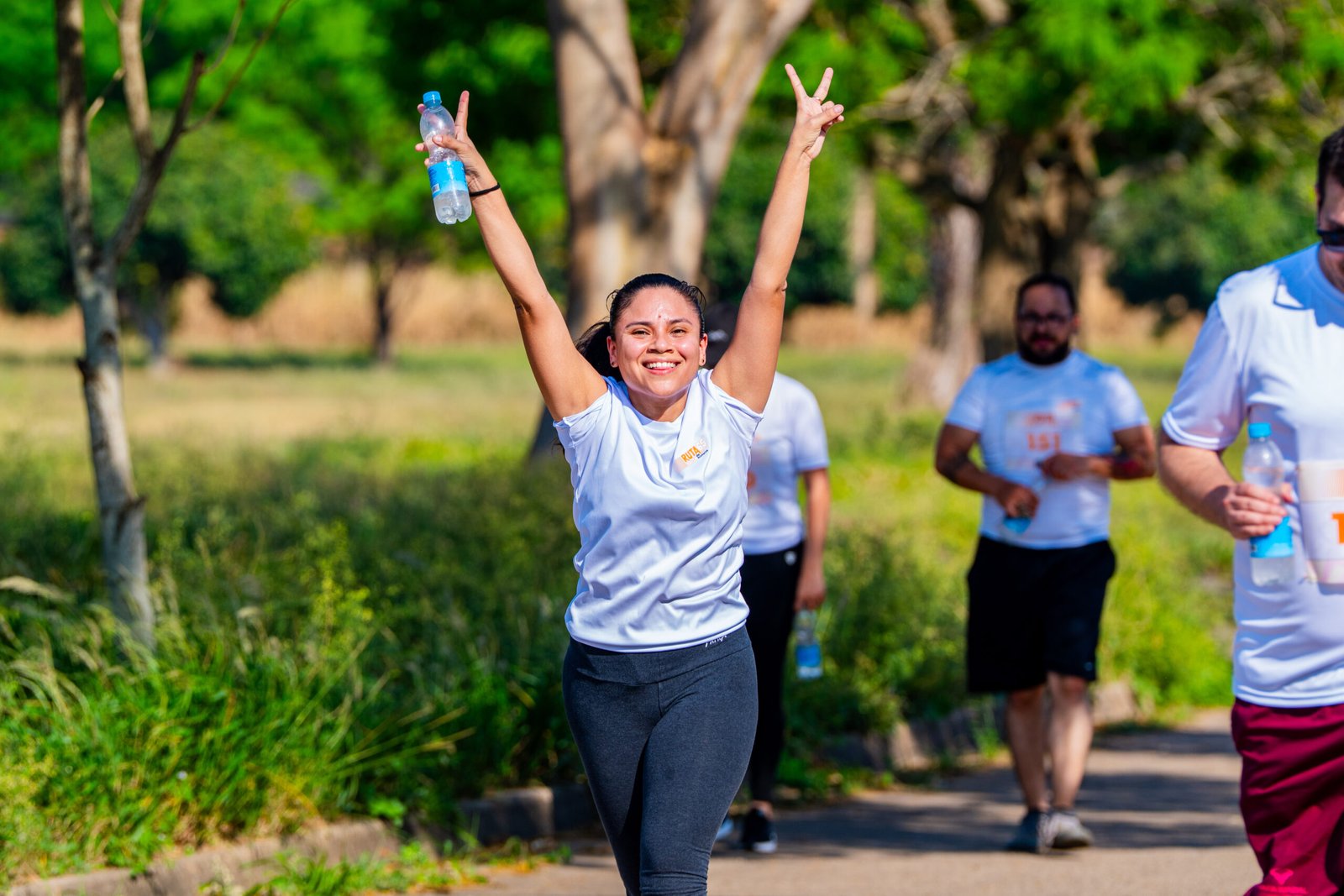 KiwiStudio (488 de 629)